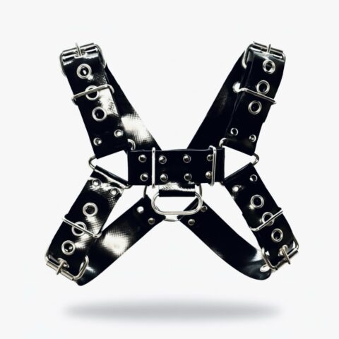 DTM Harness Proto H4-U41X-P