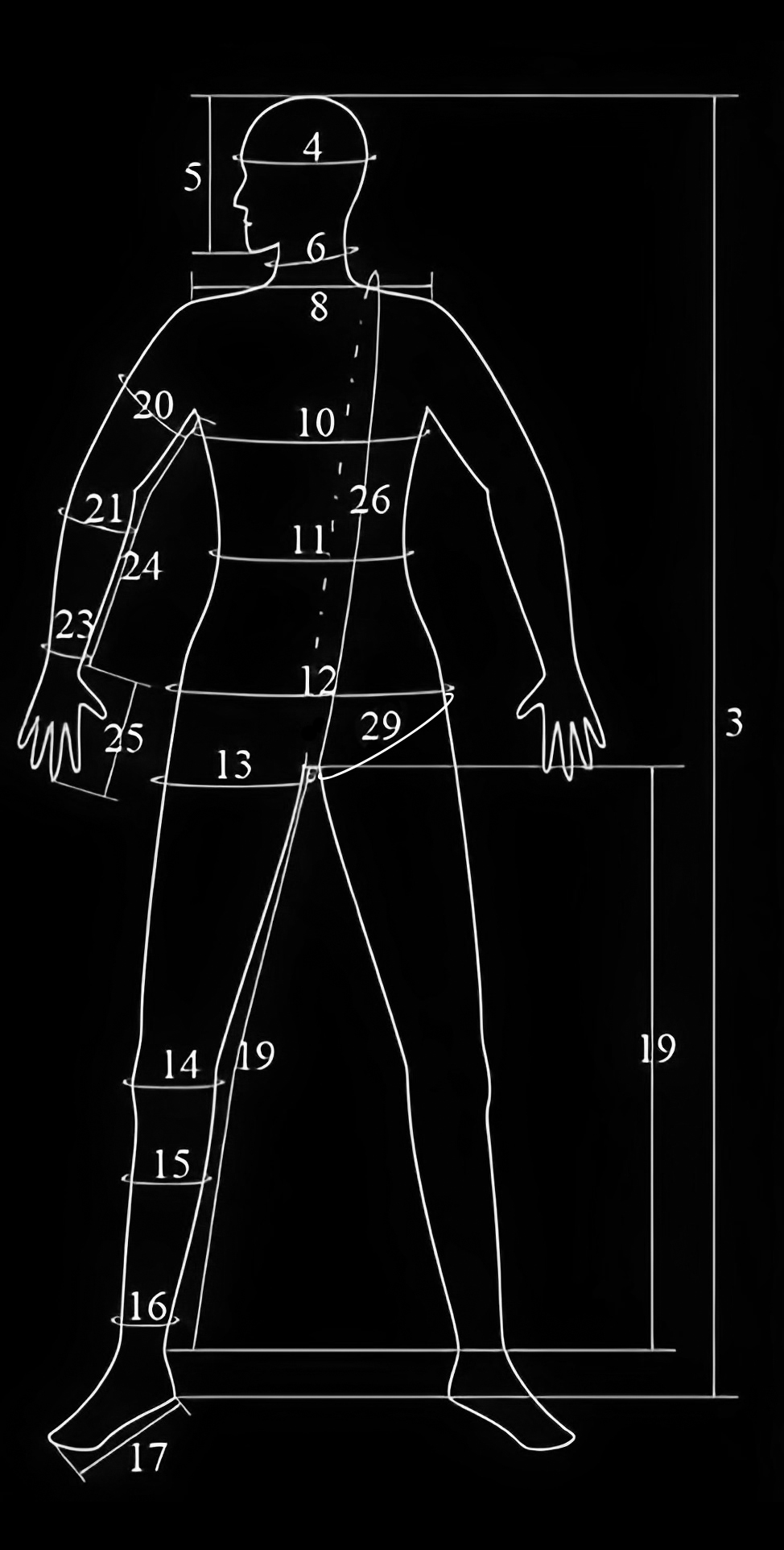 Schéma des mensurations